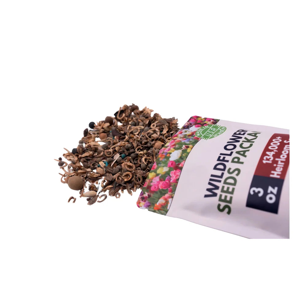 Heirloom Flower Seeds – For a Vibrant and Colourful Garden