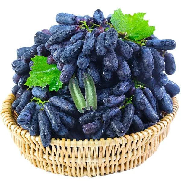 High-quality sapphire grape seeds 🍇✨