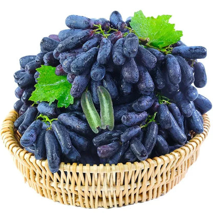 High-quality sapphire grape seeds 🍇✨