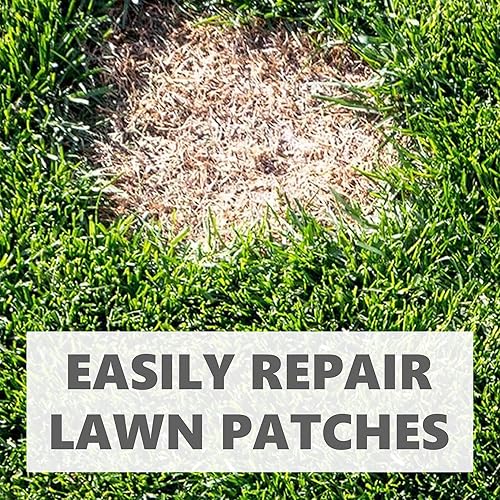 GREEN LAWN SEEDS "Green, dense and fast-growing lawn