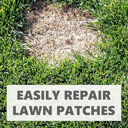 GREEN LAWN SEEDS "Green, dense and fast-growing lawn