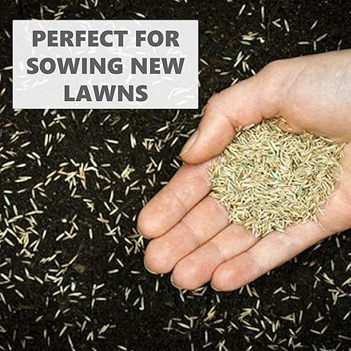 GREEN LAWN SEEDS "Green, dense and fast-growing lawn