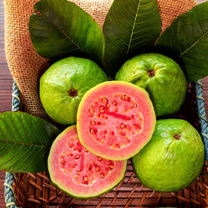 🔥🌱Guava Strawberry Guava Seeds