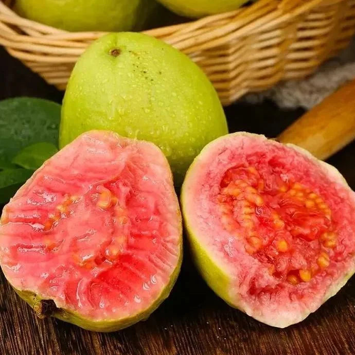 🔥🌱Guava Strawberry Guava Seeds