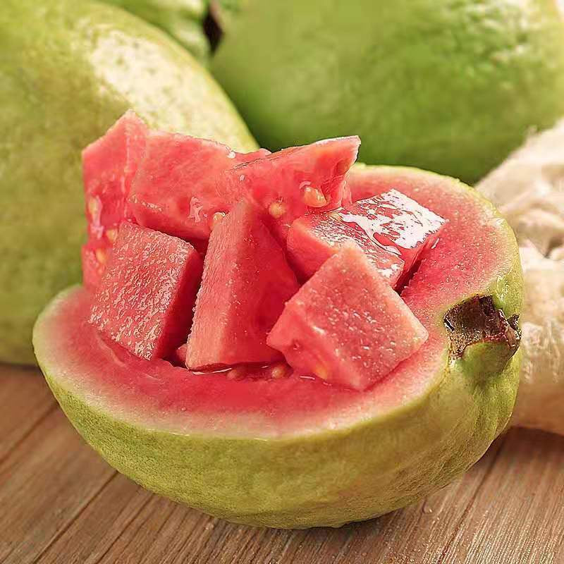 🔥🌱Guava Strawberry Guava Seeds