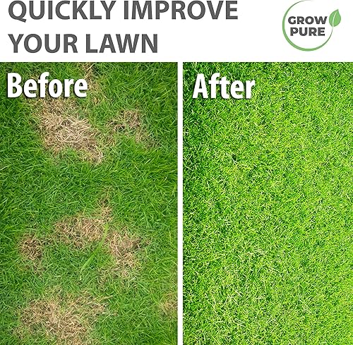 GREEN LAWN SEEDS "Green, dense and fast-growing lawn