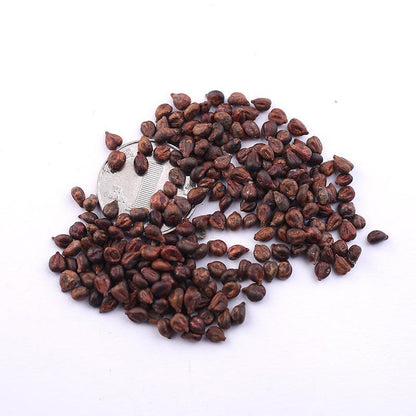 High-quality sapphire grape seeds 🍇✨