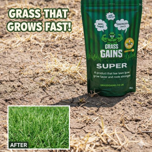 GREEN LAWN SEEDS "Green, dense and fast-growing lawn